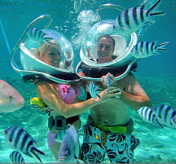 Mauritius Underwater 